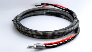 melodia struttura.jpeg