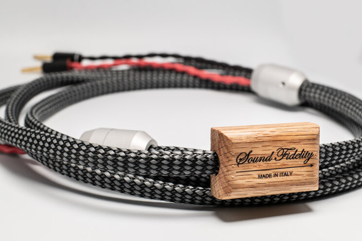 2 loudspeaker gold 2x.jpeg 2 loudspeaker gold 2x.jpeg