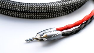 melodia struttura coonnettori.jpeg