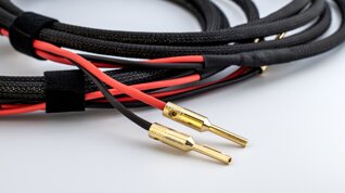 armonia connettori.jpeg