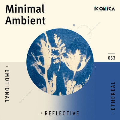 minimal_ambient.jpeg