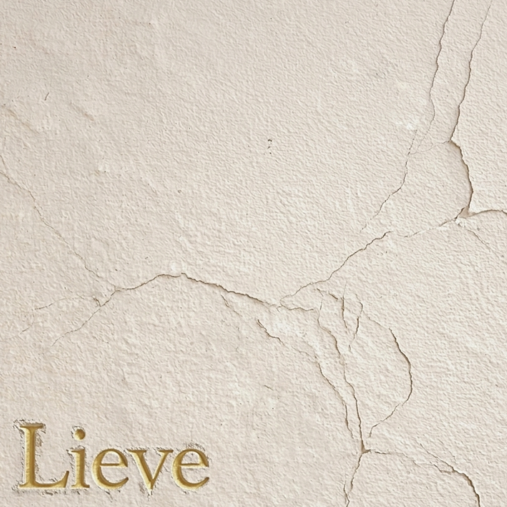 lieve artwork