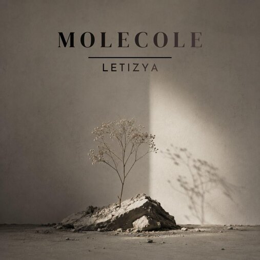 cover molecole.jpeg
