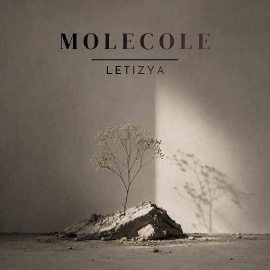 cover molecole.jpeg