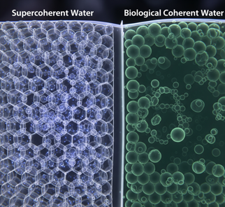 acqua super coerente biologica