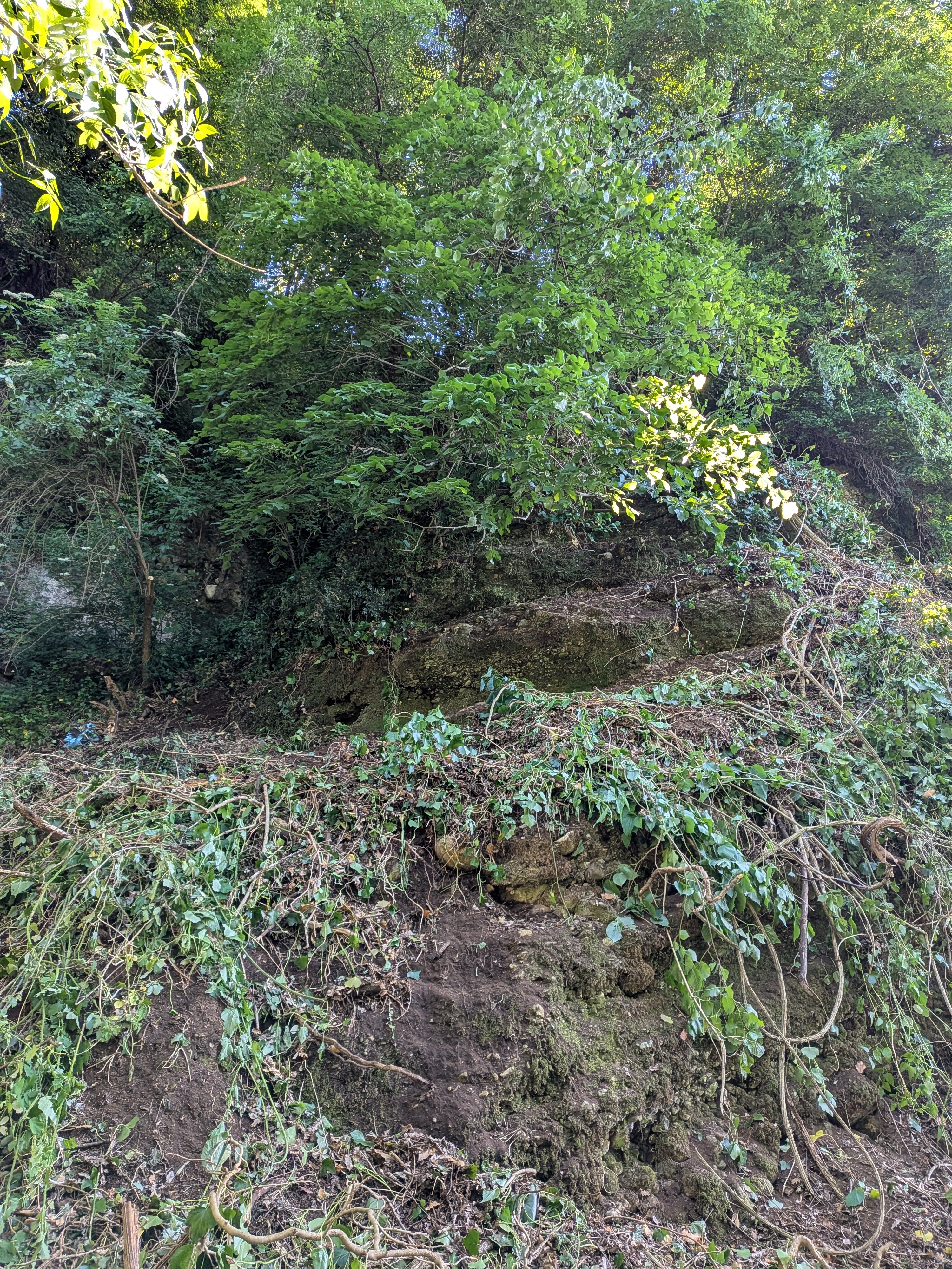 Meno parole, pi&ugrave; fatti! ⛏️🌿