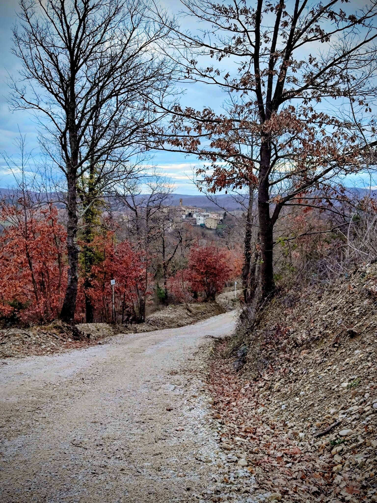 Tra boschi e vicoli, l'attesa della primavera