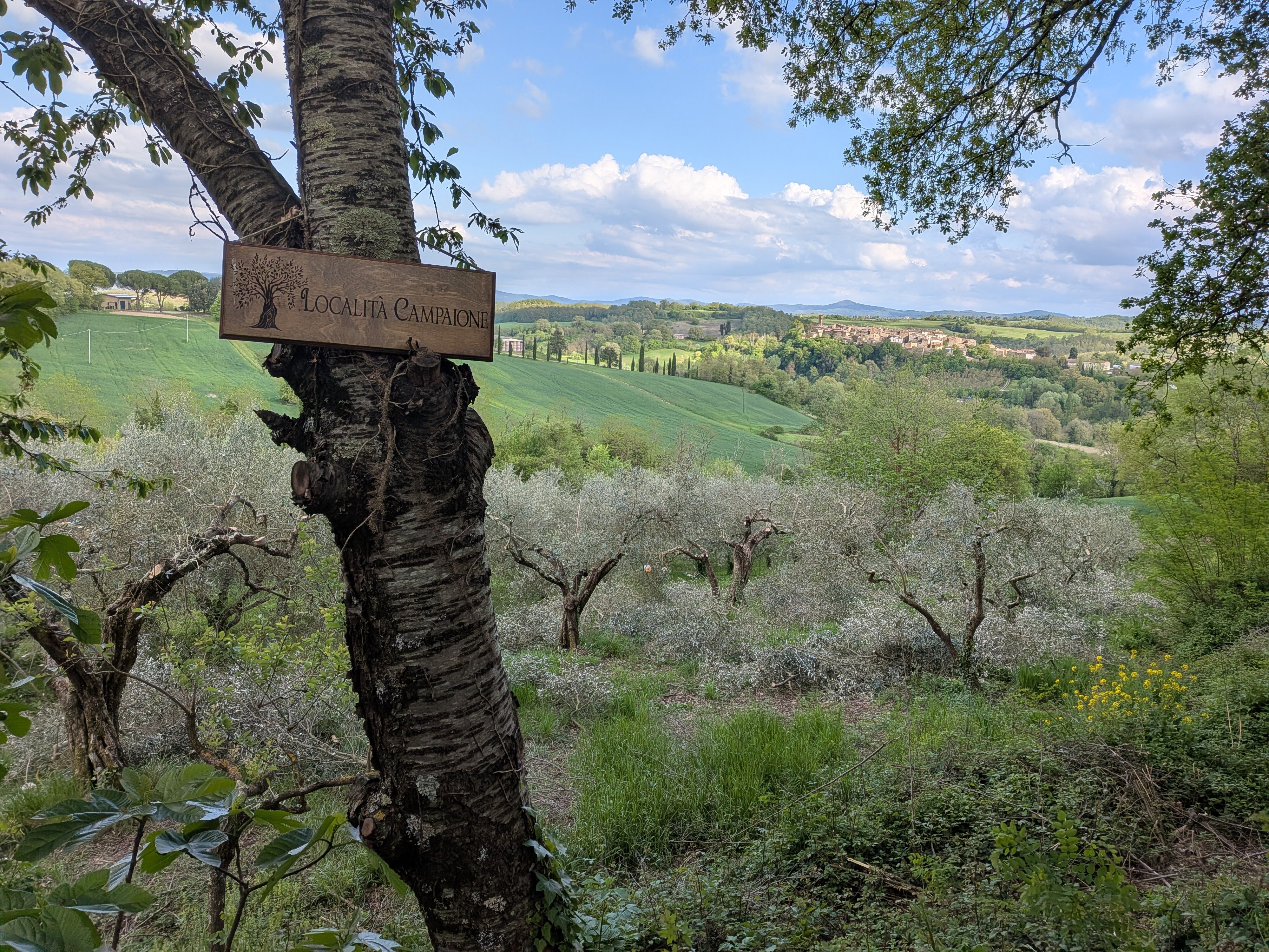 La filosofia del potino
