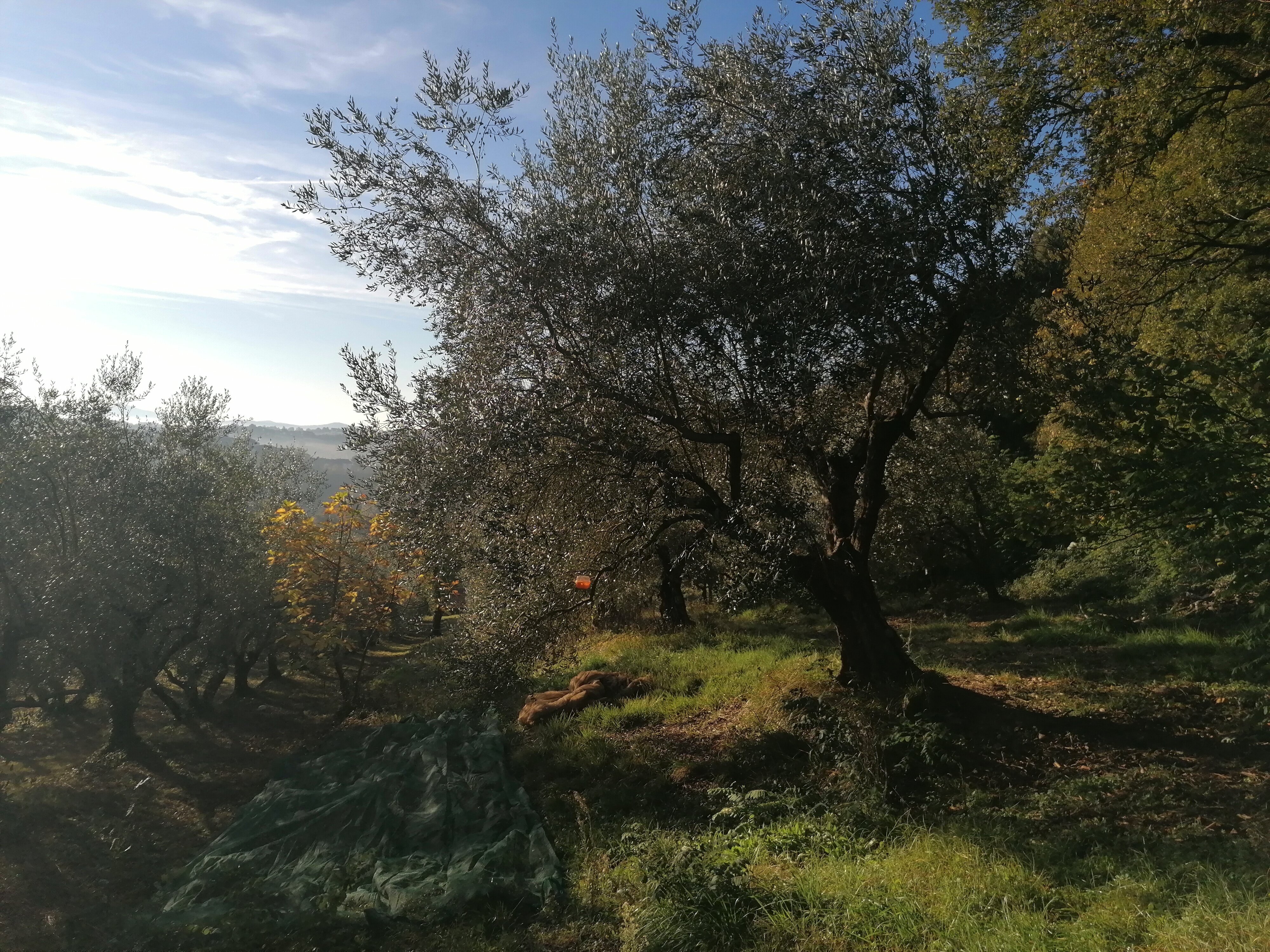 Giornata campale al Campaione Giornata campale al Campaione