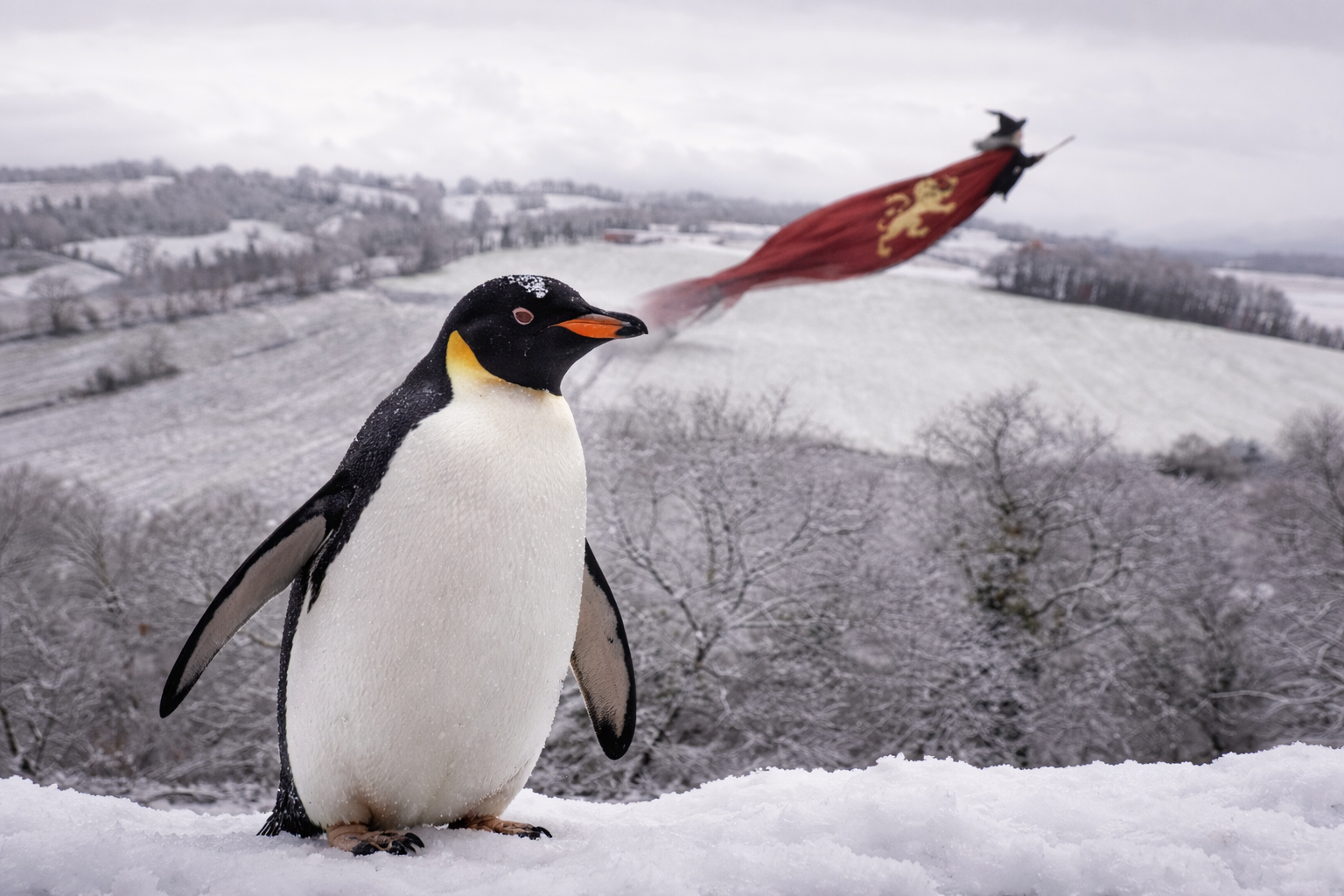 Chi l'ha vista: la Befana di Montalcinello