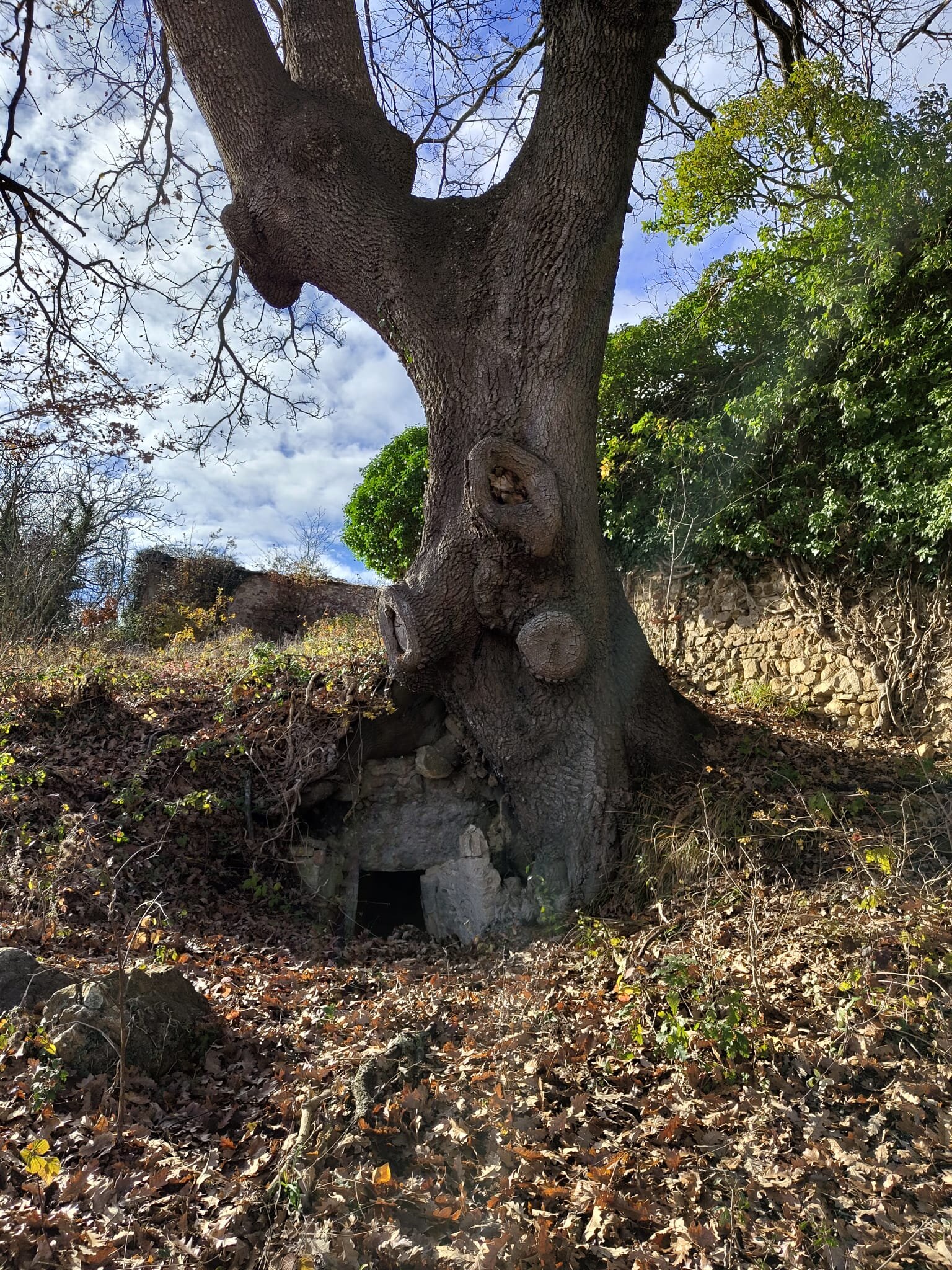 cantina-montalcinello.jpeg cantina-montalcinello.jpeg