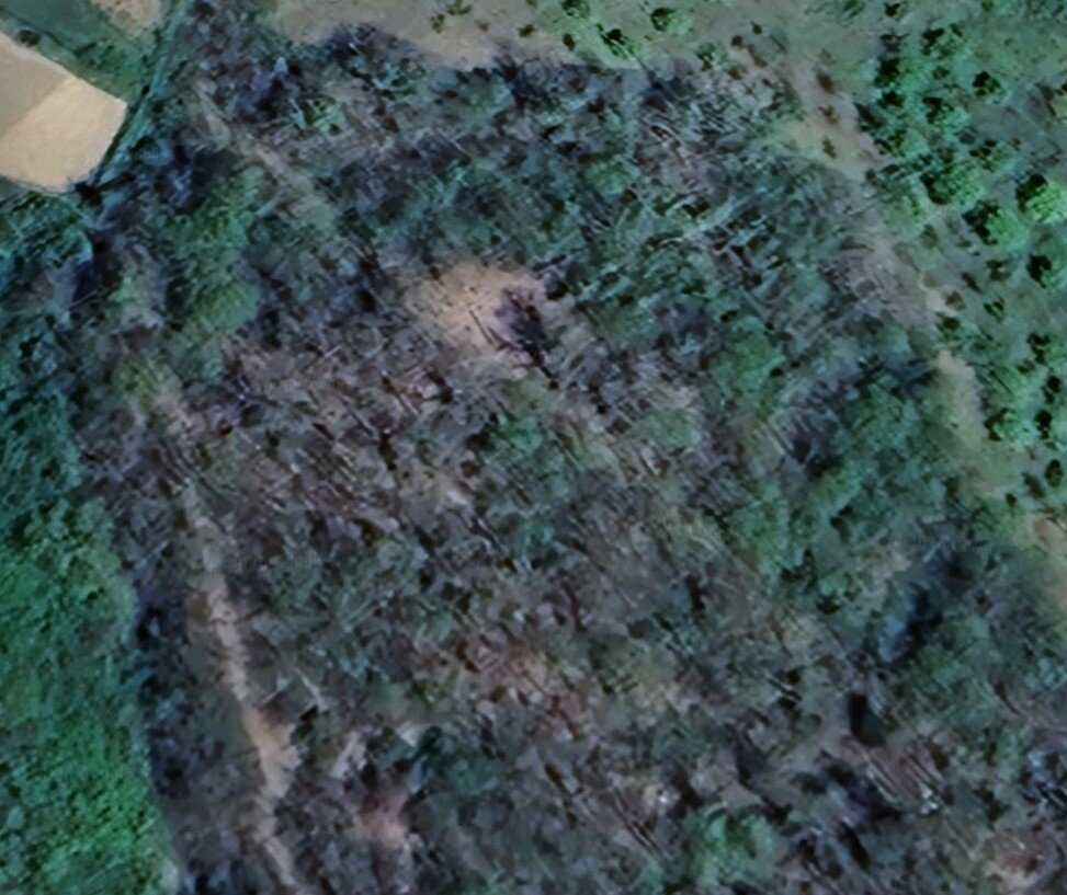 Il lumachino concentrico... tracce di un antico oppidum?