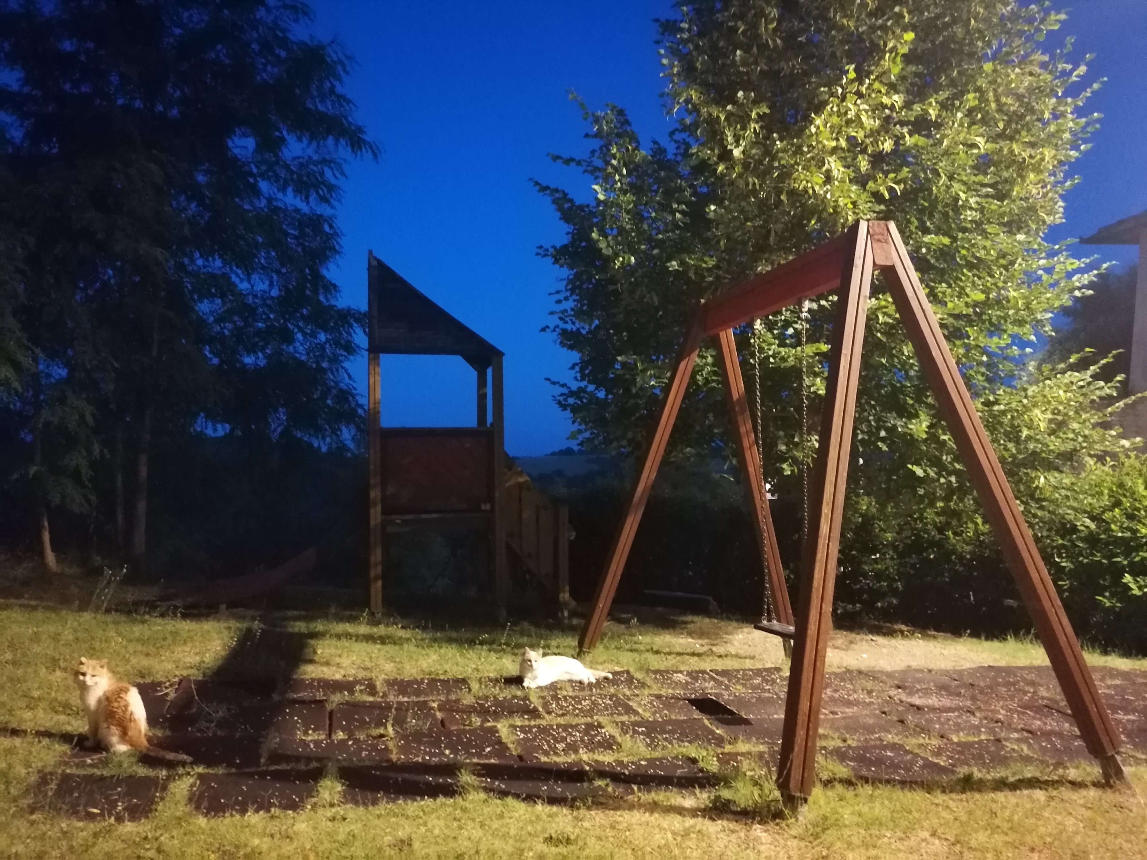 la-coppia-inseparabile-che-popola-la-piazza-di-montalcinello.jpeg la-coppia-inseparabile-che-popola-la-piazza-di-montalcinello.jpeg