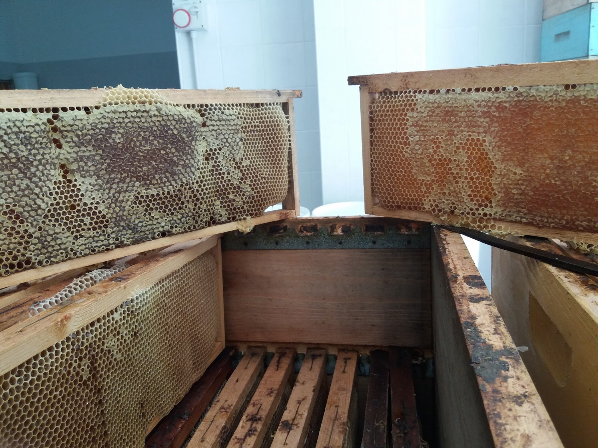 locale di smielatura