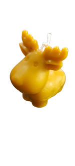 grande-candela-a-renna