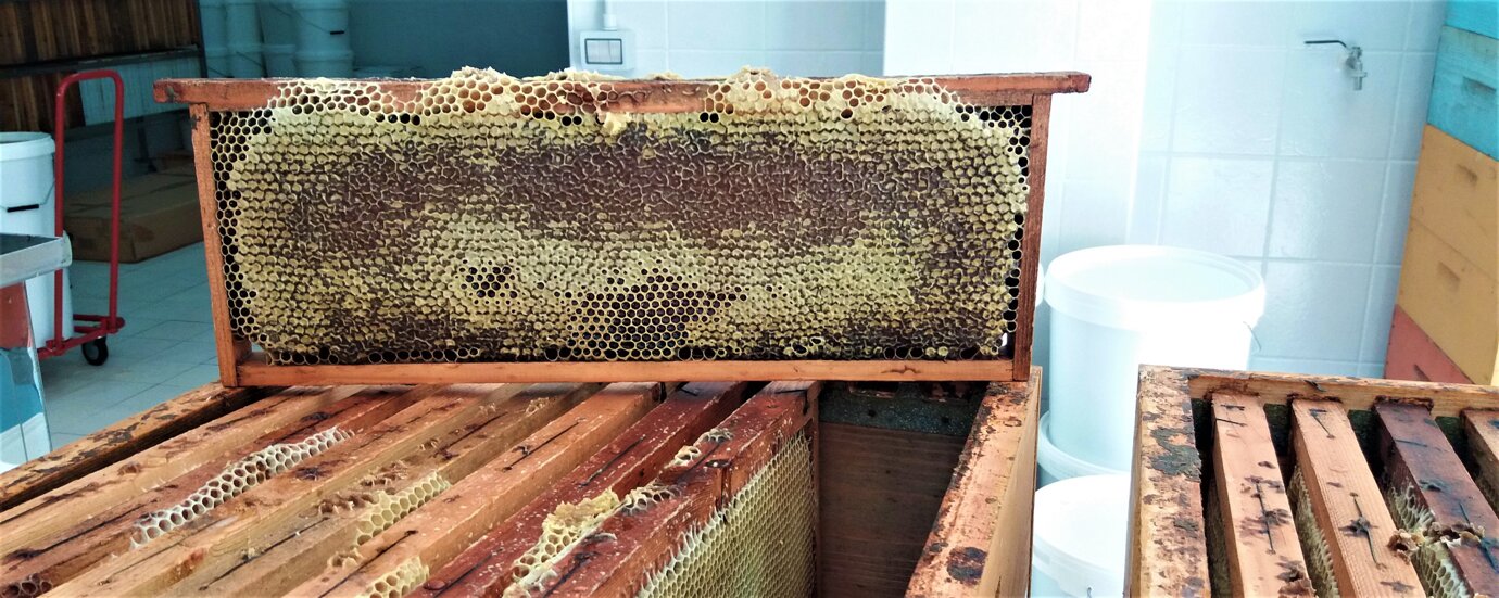 Locale di smielatura