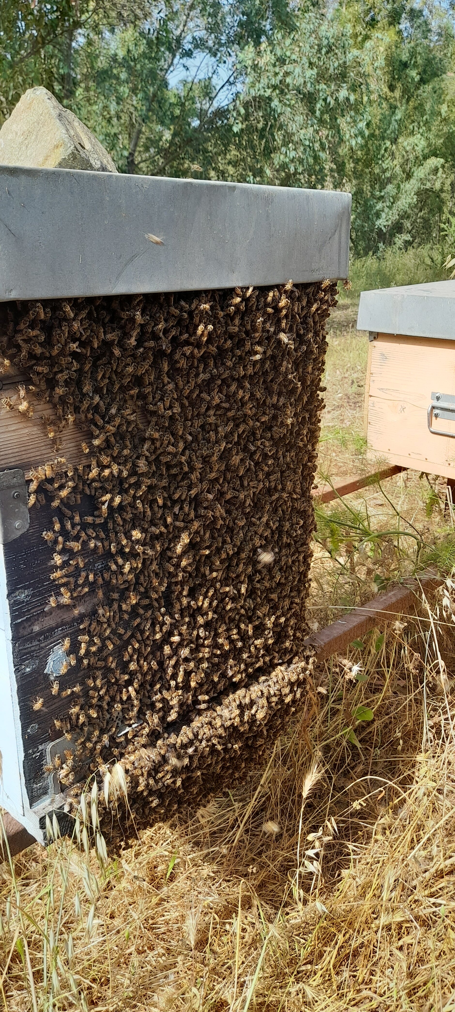 20220528_163518.jpeg