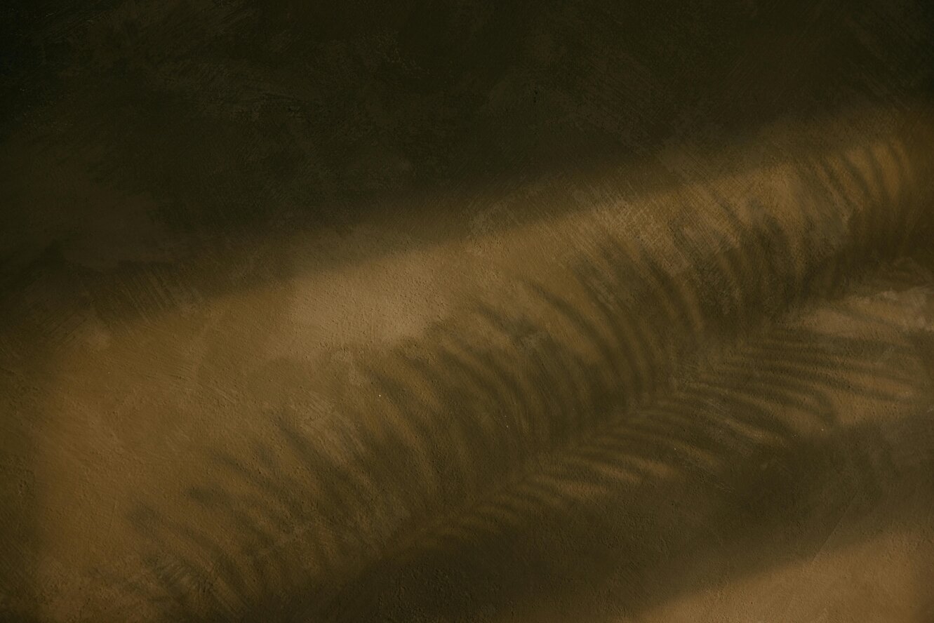 pexels-lisettkruusimae-30173134.jpeg