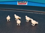 set-10-pz-piccioni-in-3d-print-non-verniciati-set-of-10-3d-printed-unpainted-pigeons
