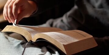 8d38cb21-8402-4776-b017-dc2a23e96292