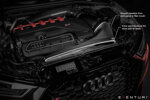 audi-rs3-8y-2020-carbon-intake-eventuri-eve-st38y-cf-int