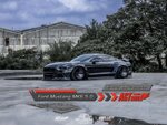 ford-mustang-mk6-inverted-air-suspension-1way2way-agt