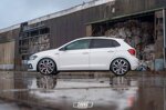 cobrasuspension-springs-vw-polo-20-gti-aw-2017