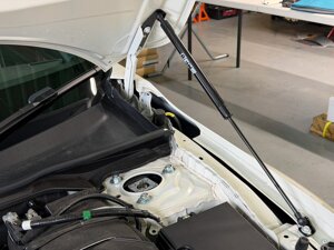 honda-civic-fl4-fl5-carbon-fiber-hood-damper-kit-bfm-performance