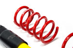 mts-coilover-renault-clio-iv-bhkh-mtsgwre02