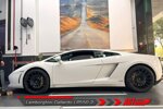 lamborghini-gallardo-lp550560-audi-r8-mk1-agt-shock-coilover