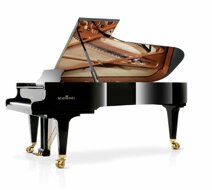 grand piano2.jpeg