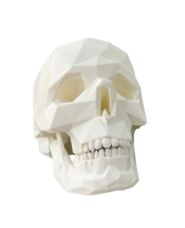 Teschio Low Poly