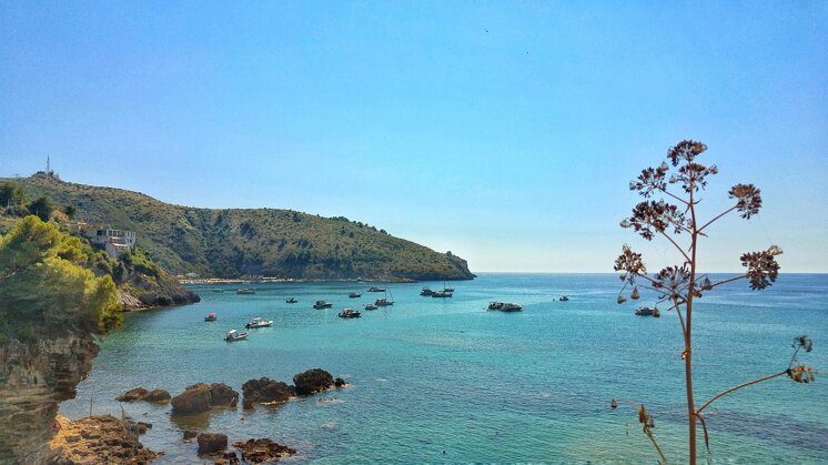 capo-palinuro-5406091_1280.jpeg capo-palinuro-5406091_1280.jpeg