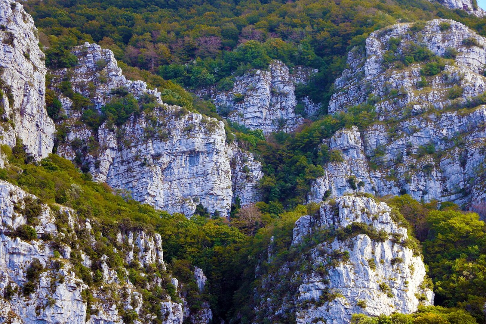 alburni-4558729_1280.jpeg alburni-4558729_1280.jpeg