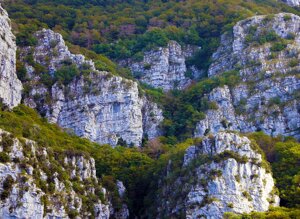 cilento-national-park-1004346_1280.jpeg