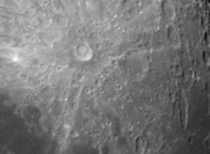 125394527_10221650968457844_8274111416281275756_n.jpeg 125394527_10221650968457844_8274111416281275756_n.jpeg