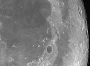 108420905_10220725343437797_3199104497785361272_n.jpeg 108420905_10220725343437797_3199104497785361272_n.jpeg