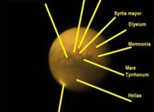 120614496_10221328794443695_915238233111015597_n.jpeg 120614496_10221328794443695_915238233111015597_n.jpeg