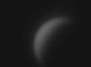 venere%201.jpeg venere%201.jpeg