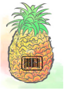 ananas