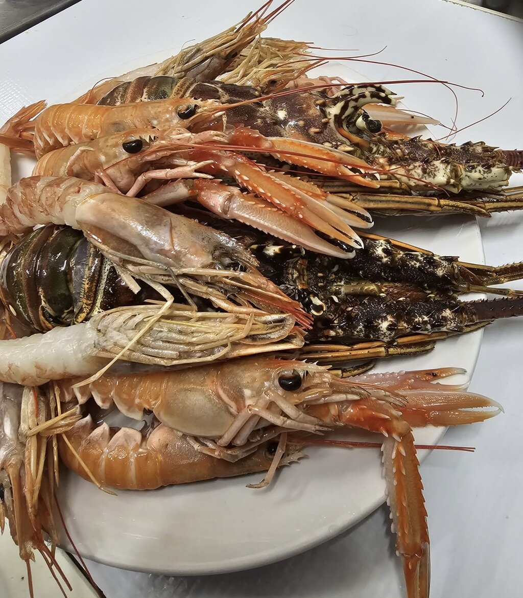 img_7062.jpeg img_7062.jpeg