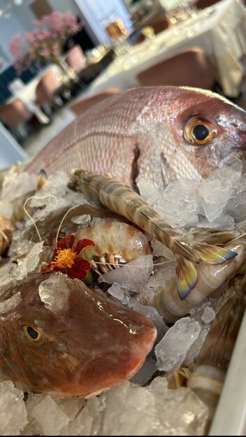 pescato.jpeg pescato.jpeg