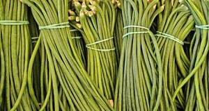 scampi%20cucina2.jpeg