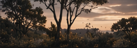 essay 4 landscape