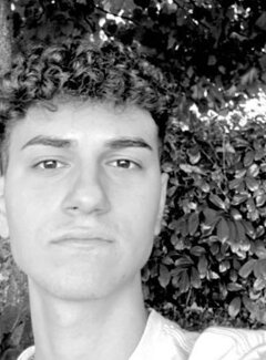 loris.jpeg loris.jpeg