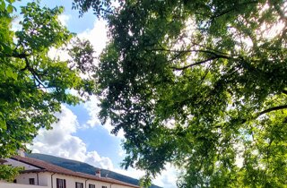 dsc_1946-2.jpeg