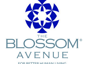 logo_transp logo_transp