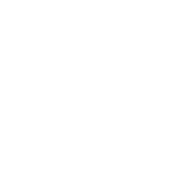 logo-bianco