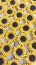 girasole