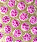 fiori-di-ciliegio-in-vetro